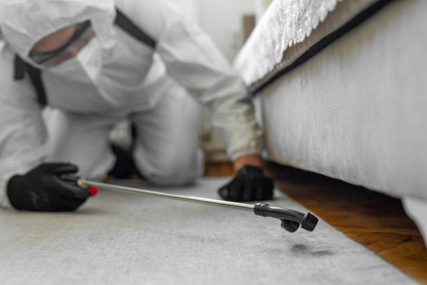 Professional Termite Control technician working in LeChee, AZ