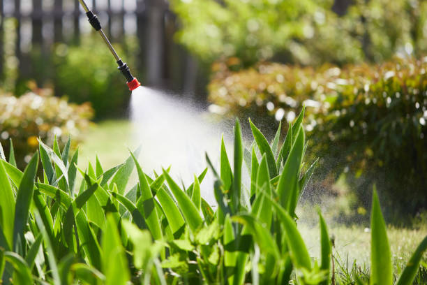 24/7 Emergency Termite Control experts in LeChee, AZ
